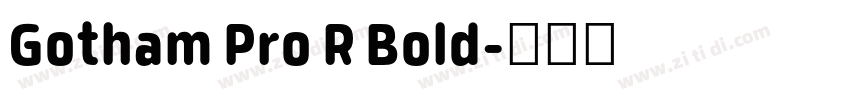 Gotham Pro R Bold字体转换 Gotham Pro R Bold字体转换